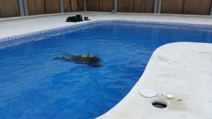 reparar piscina sin vaciar malaga