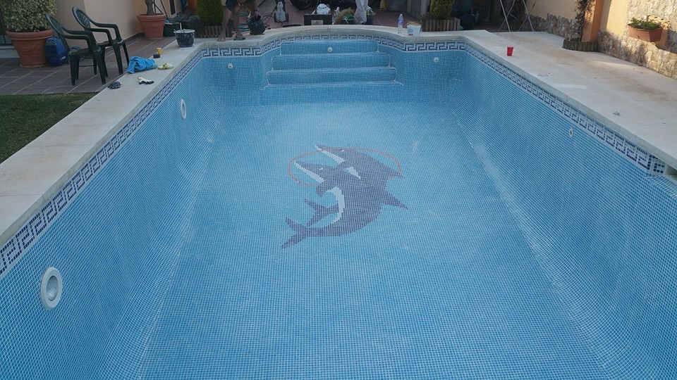eliminacion algas piscinas malaga