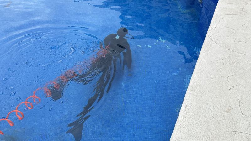rehabilitacion piscina sin vaciar malaga